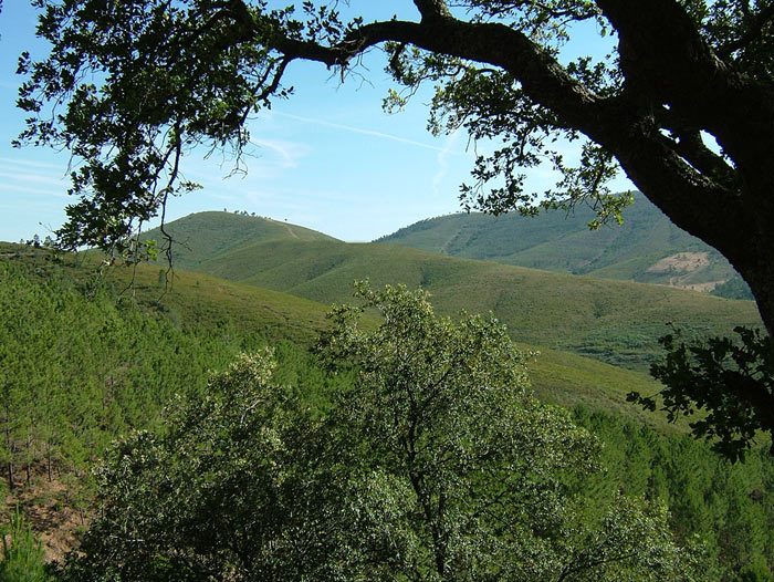 Penamacor | Guia turístico